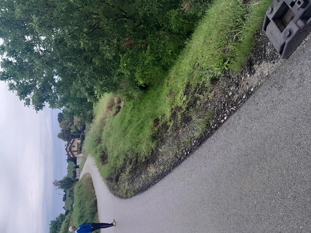 Plaz na lokalni cesti LC 104083 Zbigovci - Police 1